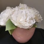 Liz Bee - Facebook
