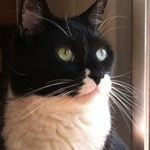 Liz Beyer - @alsebete - Instagram