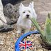 Liznkev Bingham - Facebook