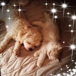 Liz Brooks - @lizbrooks1953 - Instagram