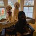 Liz Burdick - Facebook