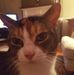 Liz Cartwright - Facebook