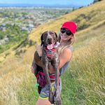 Liz Cartwright - @liztcartwright - Instagram