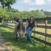 Liza - @liza_chamberlain - TikTok