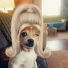 Liz Chappell - @77liz_chappell - TikTok