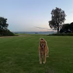 Liz Chappell - @lizbychappell - Instagram