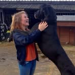 Lizzie Chatterton - Facebook