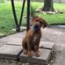 Liz Collier - Facebook