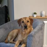 Liz Conn - @dugal_2019 - Instagram