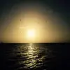 liz_conn - @liz_conn - TikTok
