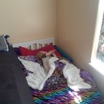 Liz Conway - @lizconway2 - Instagram