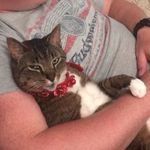 Liz Conway - @skinnyispastable - Instagram
