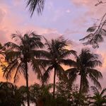 Liz - @lizconway_ - Instagram