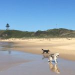Liz Crowe - @lizzycrowe - Instagram