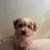 Liz Currie - @liz.currie5 - TikTok