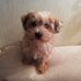 Liz Currie - Facebook