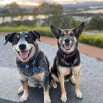 Liz Daly - @lizd45 - Instagram