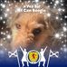 Lizzie Dolan - Facebook