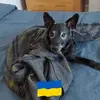 lizdowning81 - @lizdowning81 - TikTok