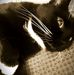 Liz Drury - Facebook
