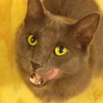 Liz Durham - @ghostbuster0887 - Instagram