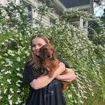 liz dyer - @lizbrashier - Instagram