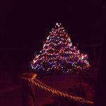 Liz Viall Dyer - @lizzied2003 - Instagram
