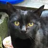 liz eisenhower - @liz.eisenhower - TikTok