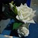Liz Vania Escalera - Facebook