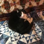 Liz Ewing - @lbe45 - Instagram