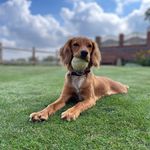 Liz Farrow - @liz_farrow2023 - Instagram