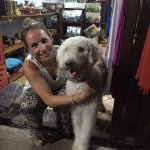Elizabeth Feldman - @lizfeldman27 - Instagram