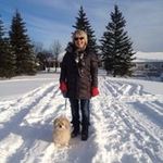 Liz Feldman - @feldmanliz - Instagram