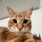 Liz Feldman - @lizfeld2017 - Instagram