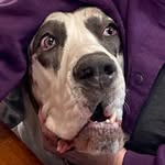 Liz Fleming-Peterson - @lizflemingpeterson - Instagram