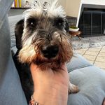 Liz Flintoft - @lizflintoft - Instagram