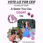 @lizforceo - Instagram