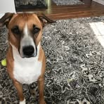 Liz Forster - Facebook