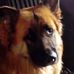 Liz Francis - Facebook