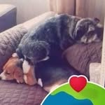 Liz Gallagher - @lizgallagher853 - Instagram