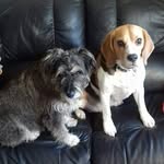 Liz Gallagher - @lizgallagher10 - Instagram