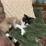 Liz Gallagher - @homeharmony - Instagram
