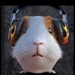 Liz Gilbert - @lizgilbert8477 - Instagram