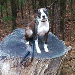 Elizabeth M Gilman - @lizzard.42 - Instagram