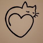 Elizabeth Haddon - @lizhaddon79 - Instagram