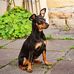 Liz Hadden - Facebook
