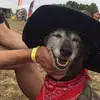 lizhancock75 - @lizhancock75 - TikTok