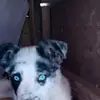 user3565501240678 - @lizhancock1080 - TikTok