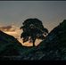 Liz Hardwick - Facebook