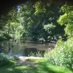 Liz Harrison - @lizharrison2006 - Instagram